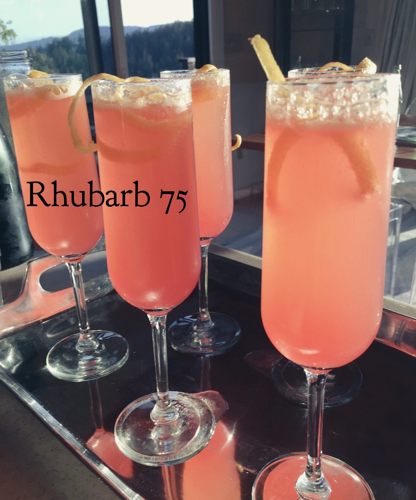 TasteGurus recipe image for Rhubarb 75